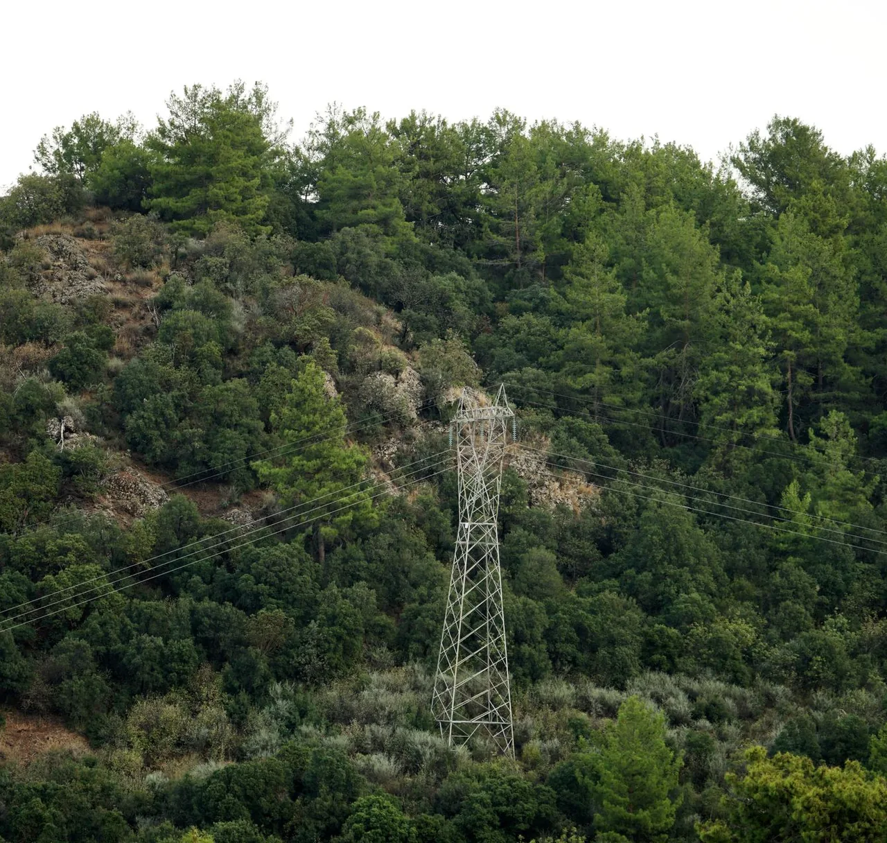 Electricity transmission lines passing through a wooded hillside